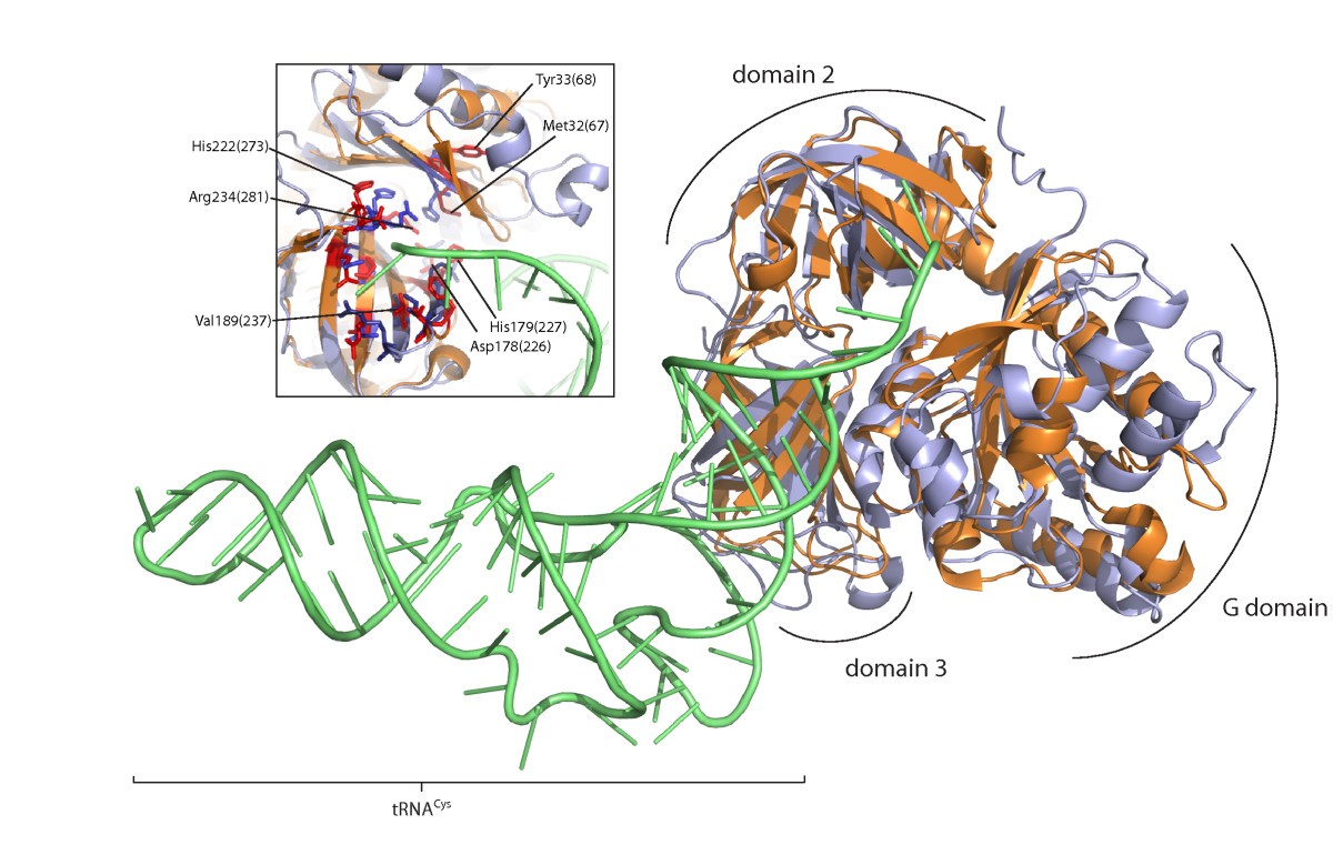 Figure 4