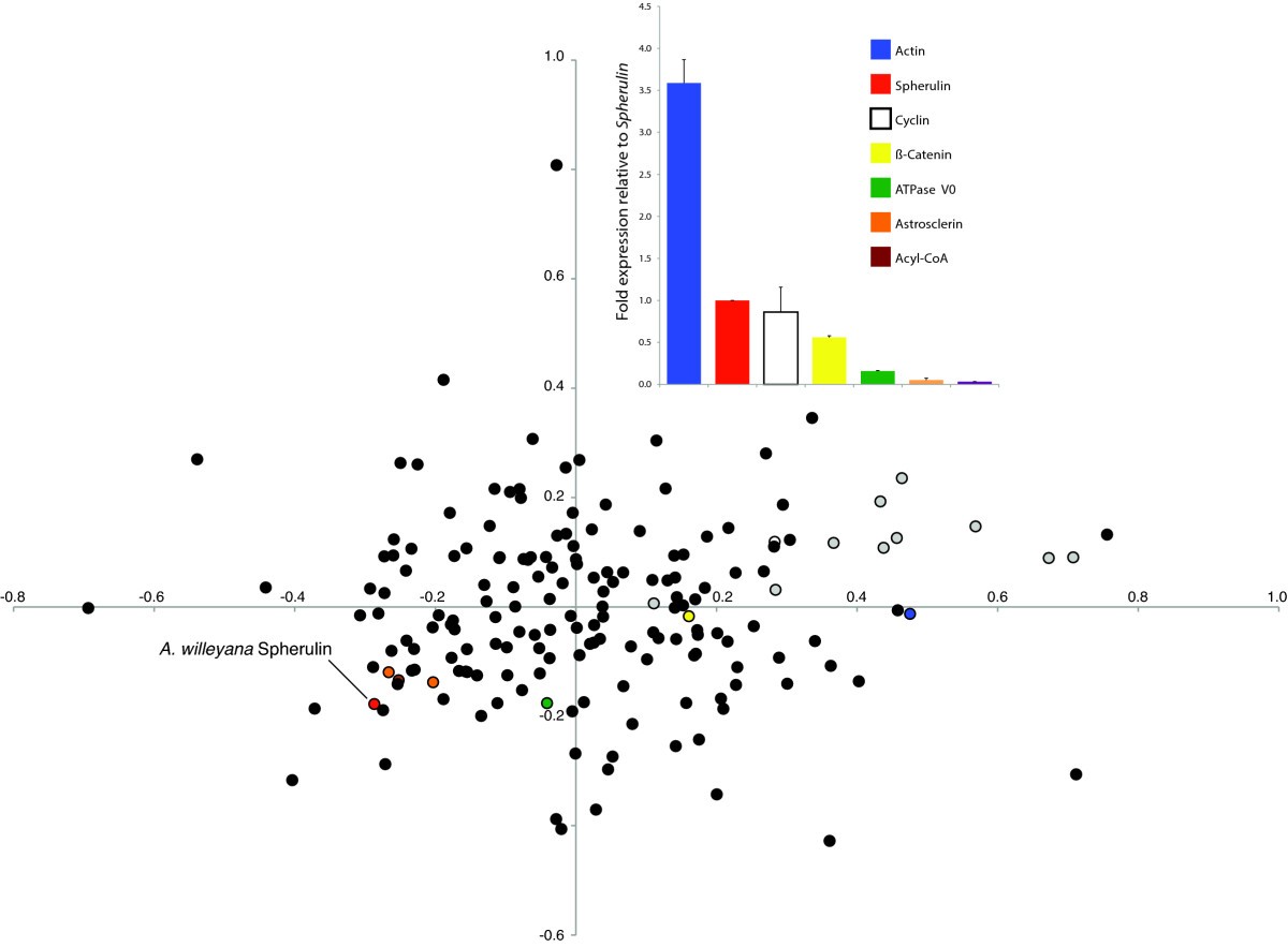 Codon Usage Chart