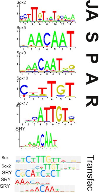 Figure 9