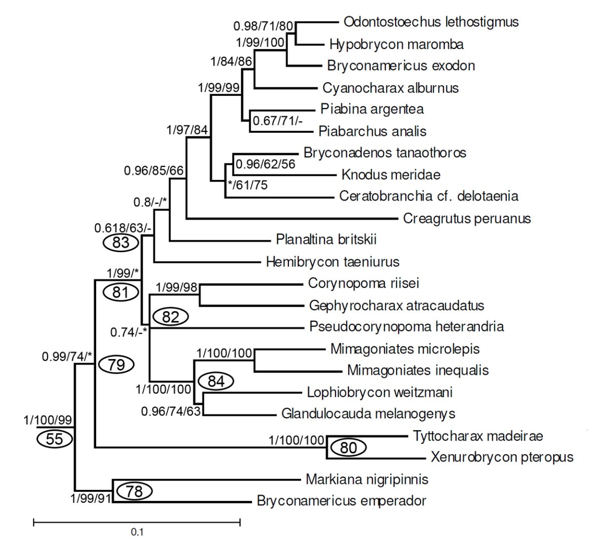 Figure 12