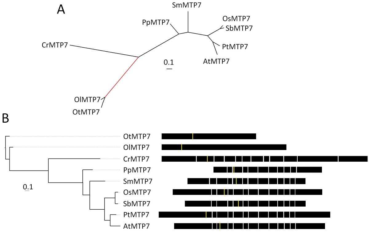 Figure 7