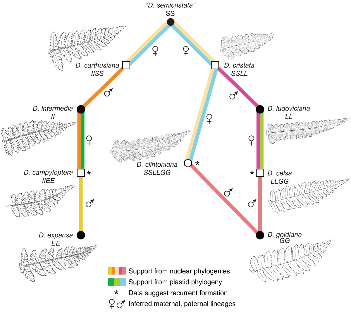 Figure 6