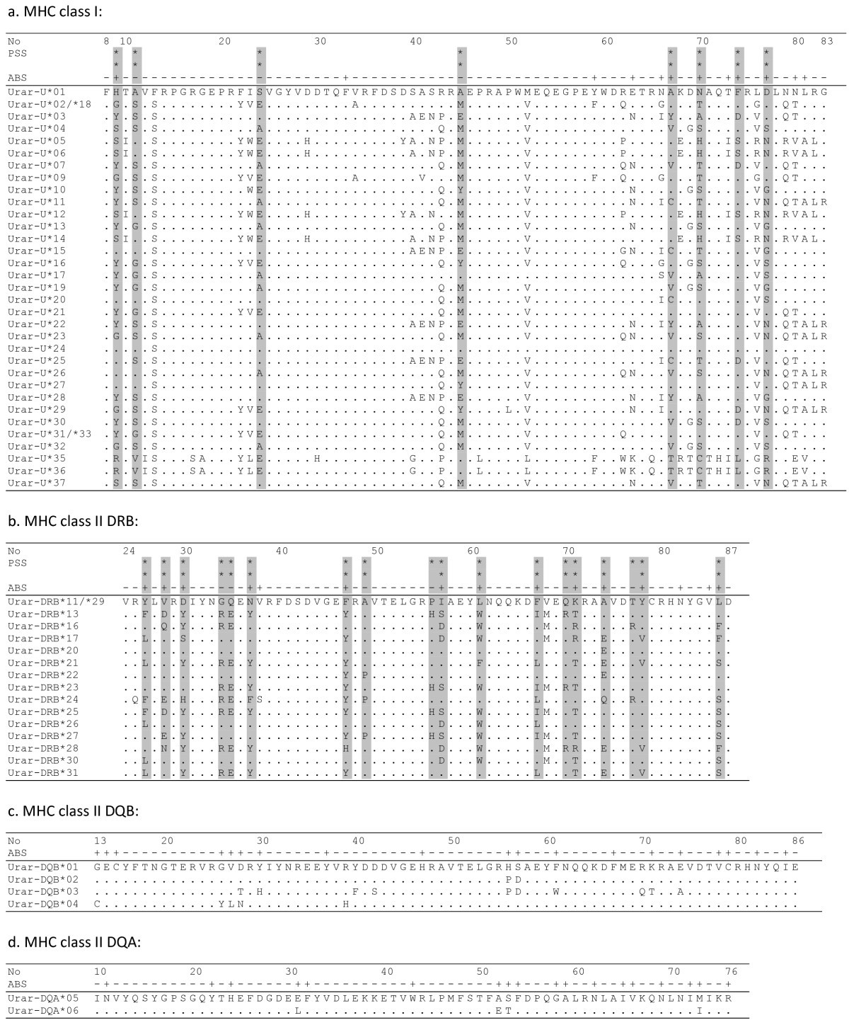 Evolution Of Major Histocompatibility Complex Class I And Class Ii Genes In The Brown Bear Bmc Ecology And Evolution Full Text