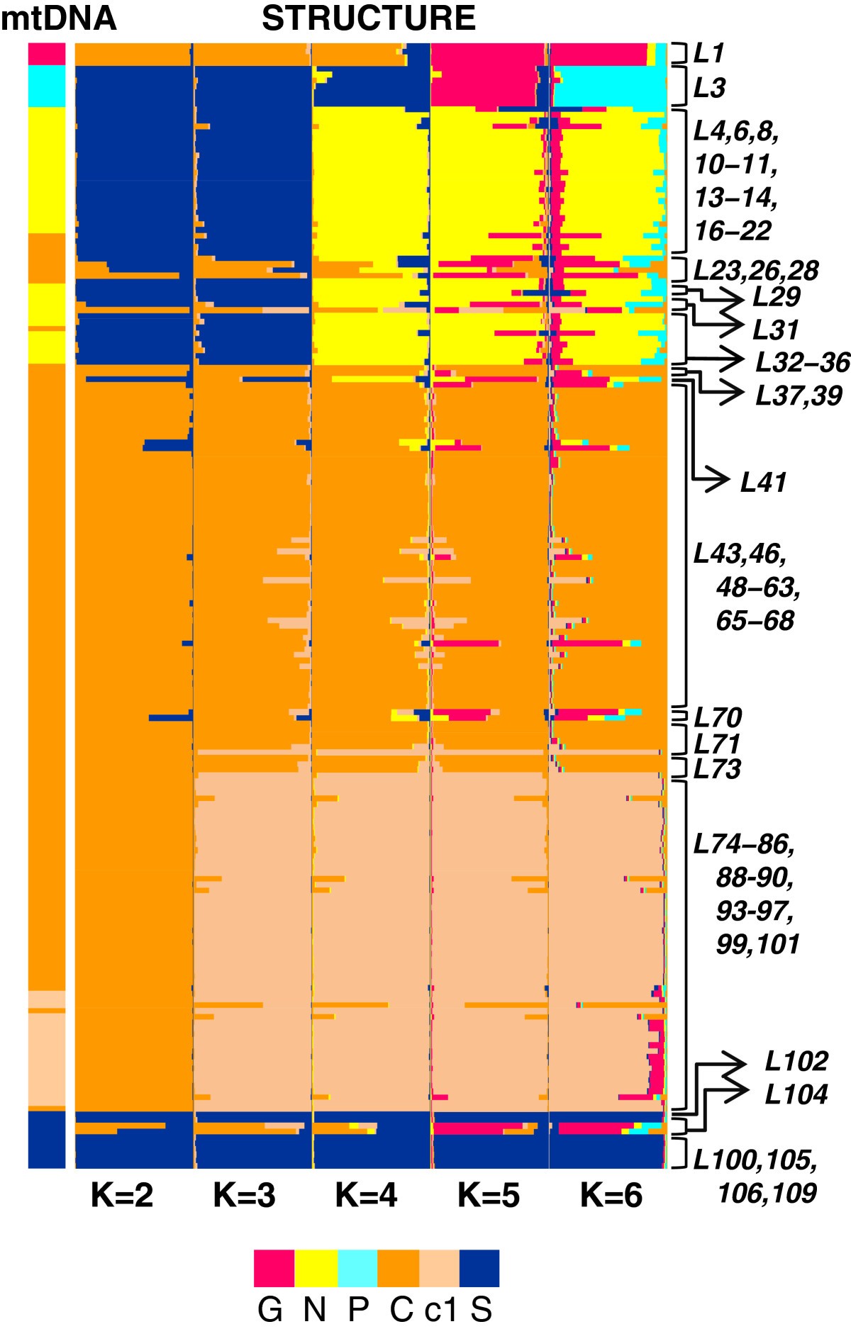 Figure 5