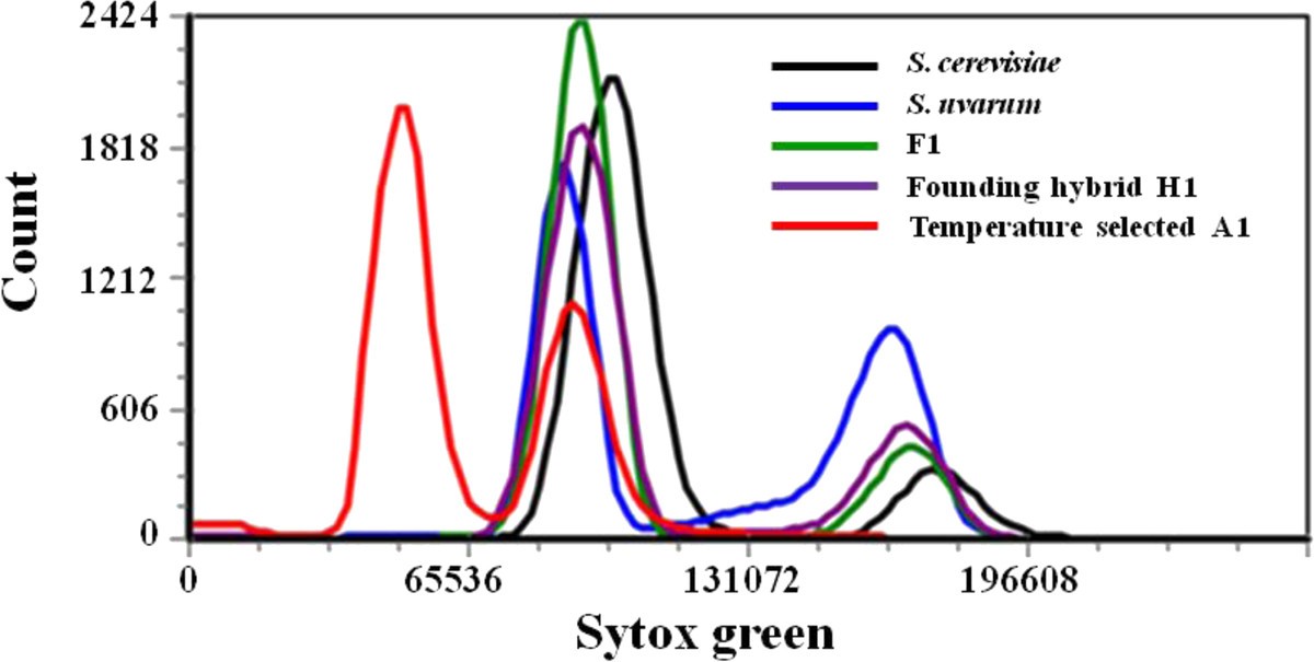 Figure 7