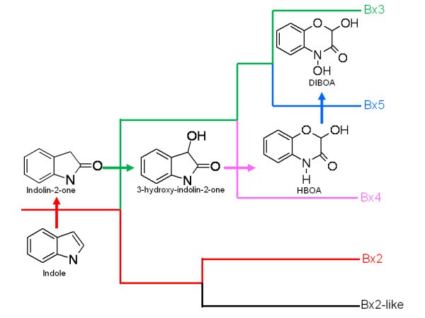 Figure 10