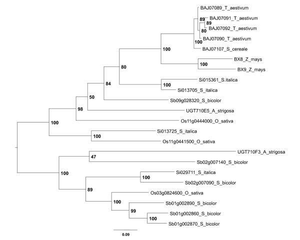 Figure 9