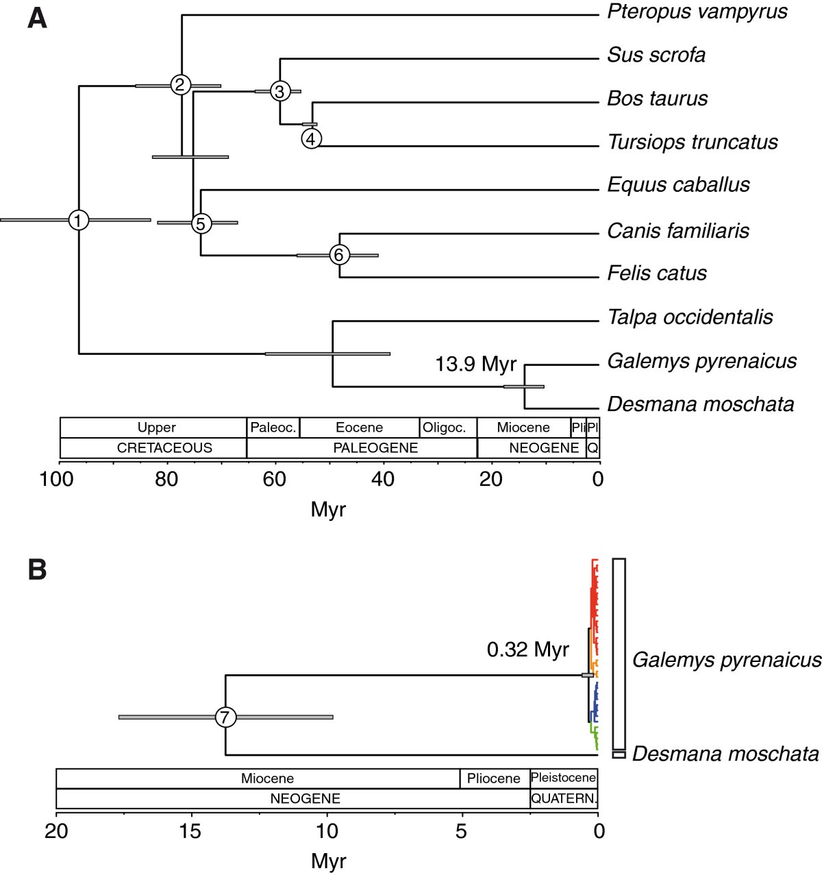 Figure 7