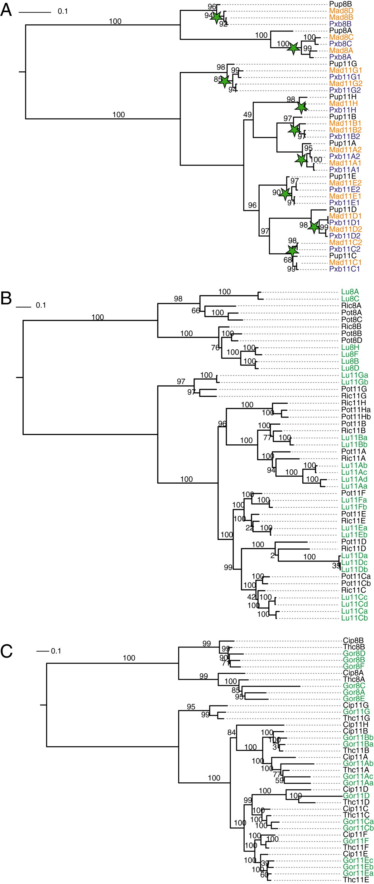 Figure 11