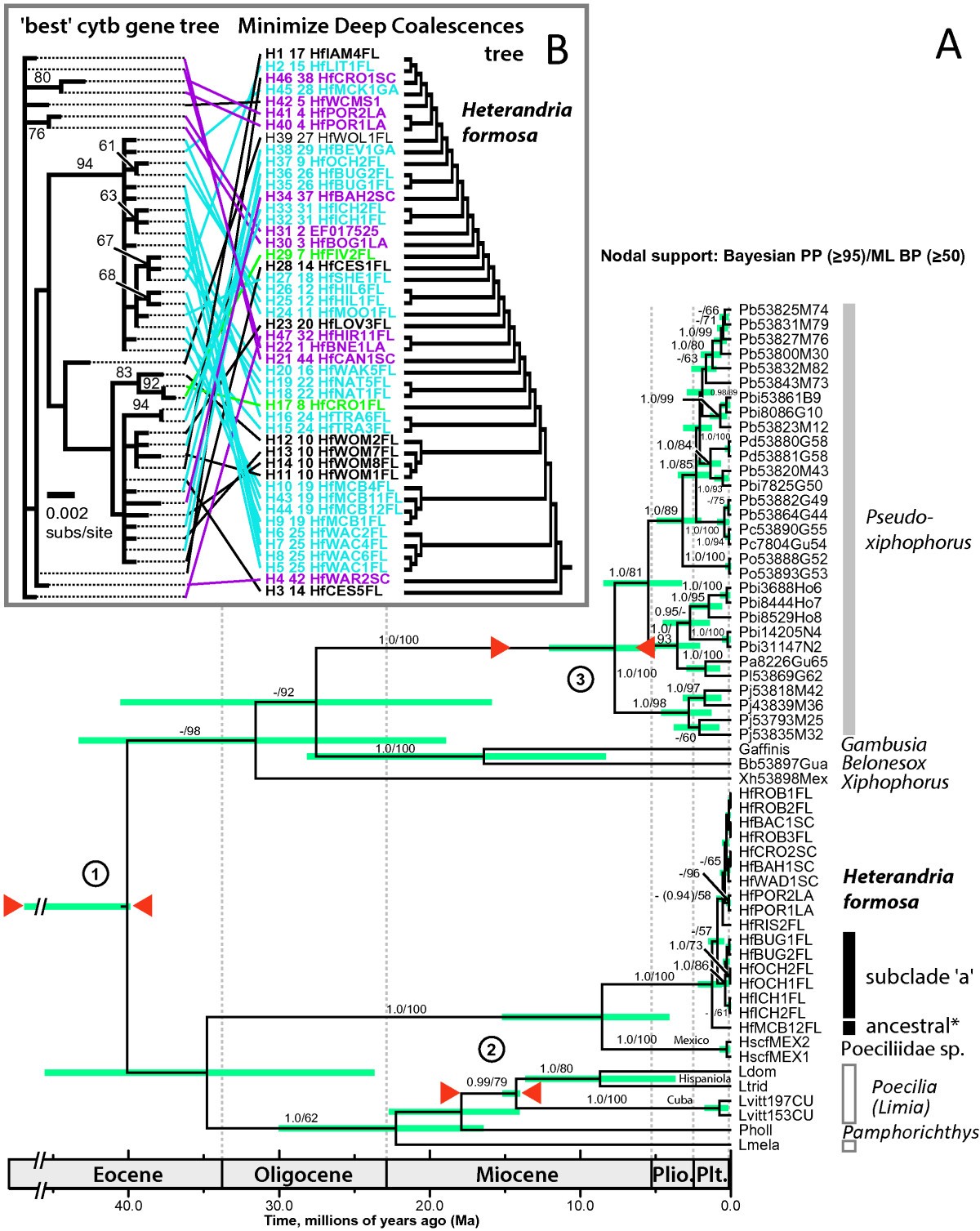 Figure 6