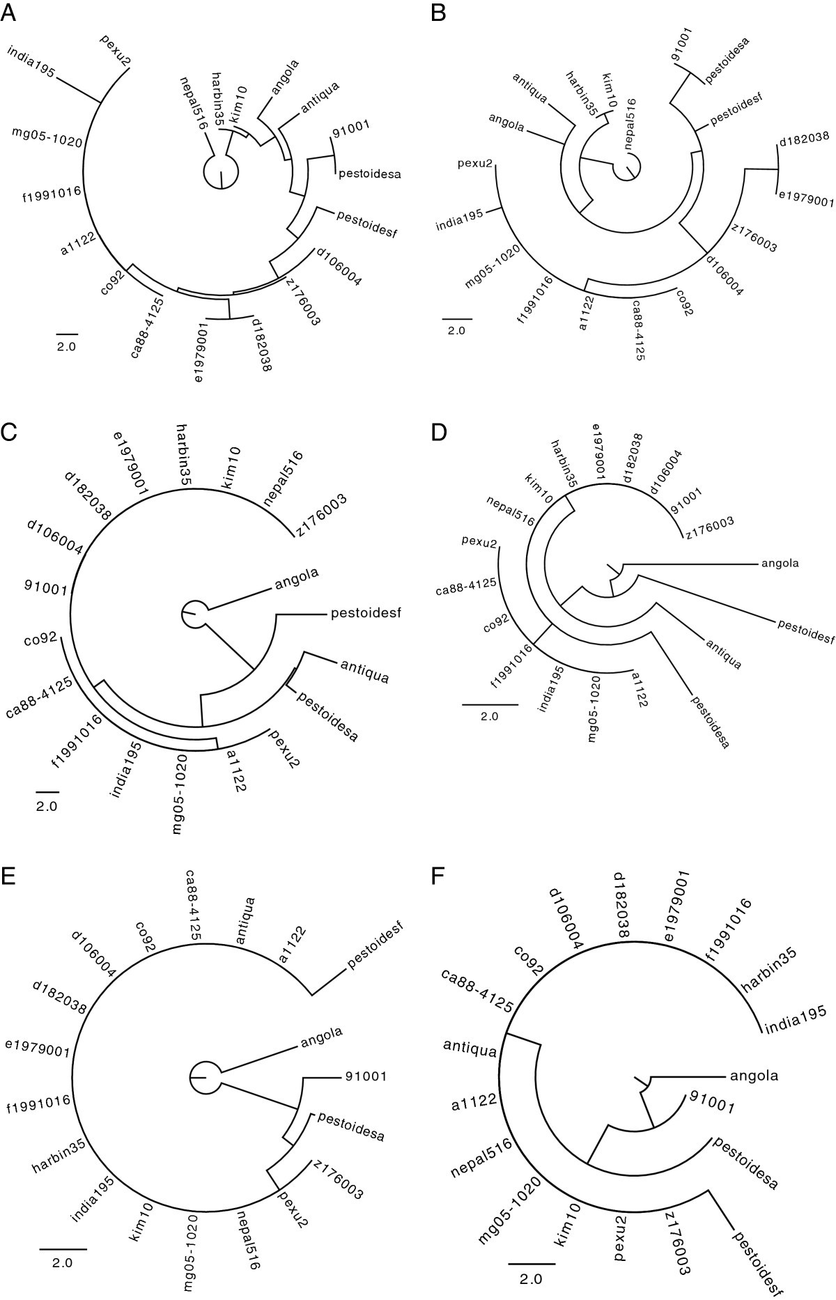 Figure 12