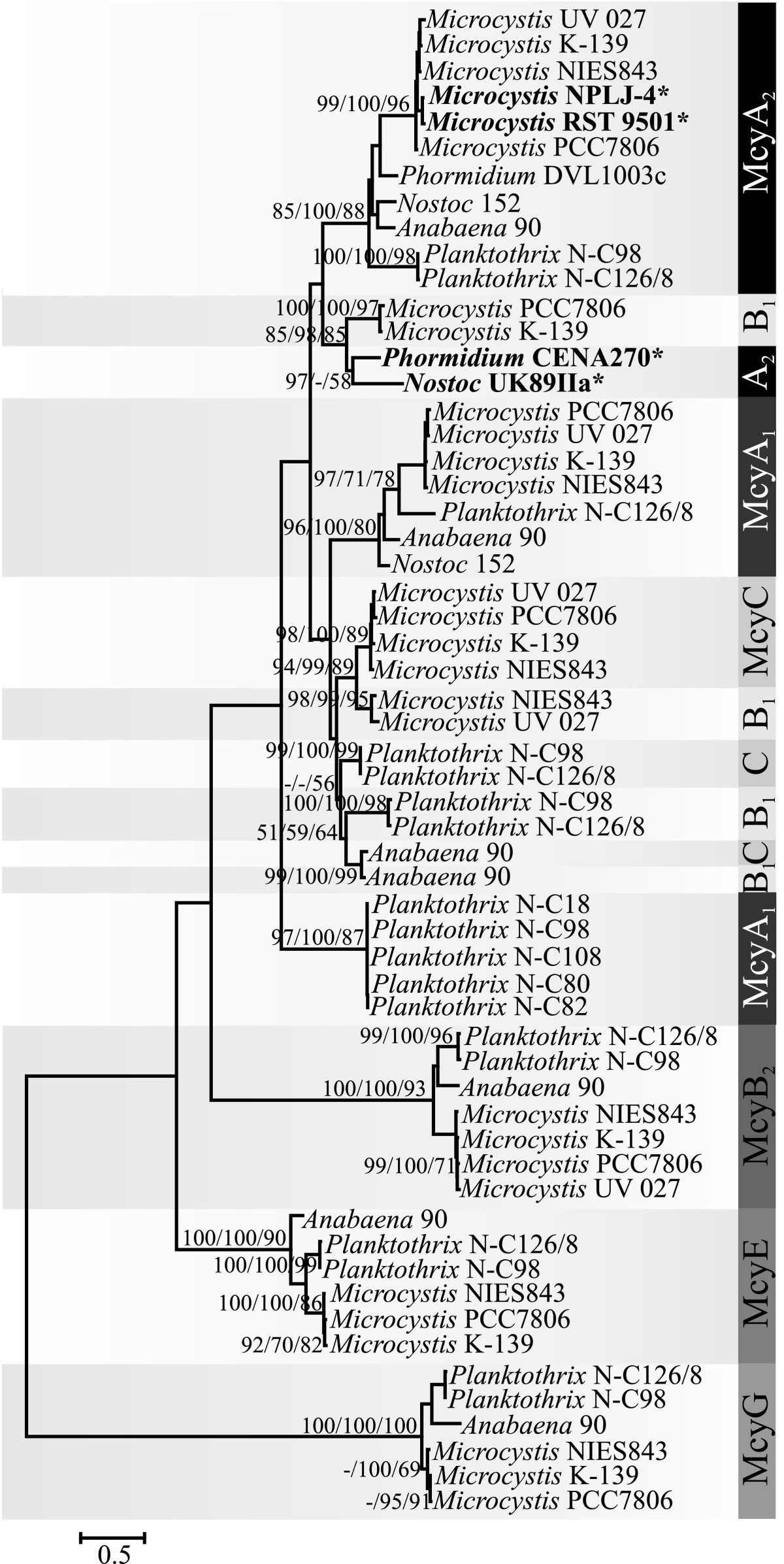 Figure 5