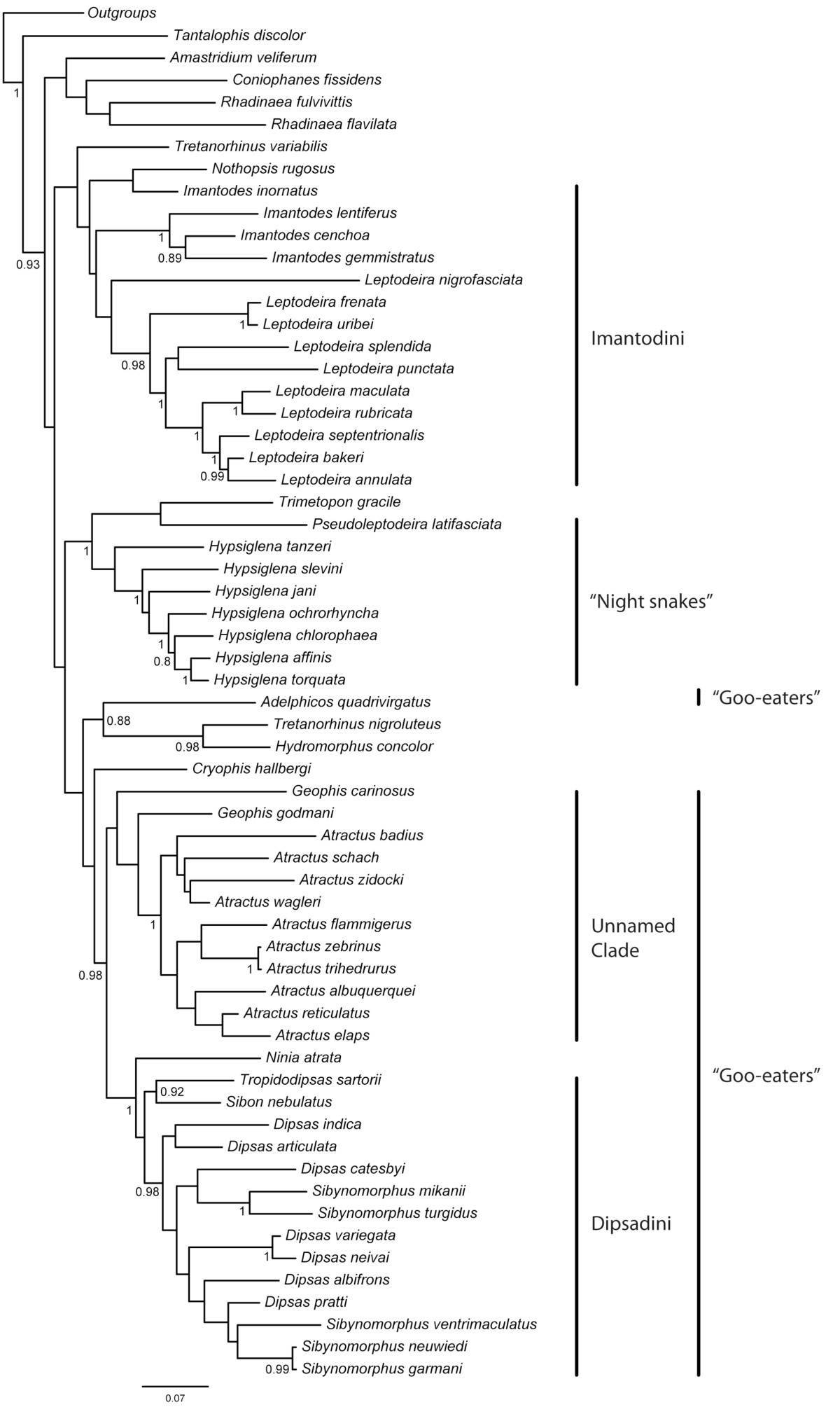 Figure 15