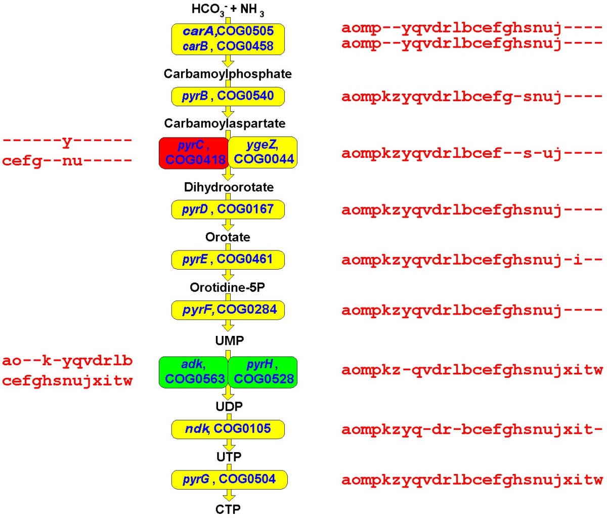 Figure 10