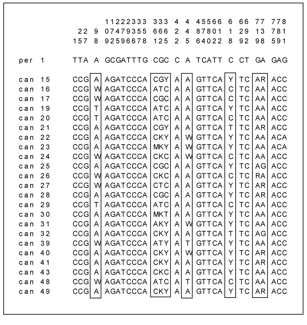 Figure 5