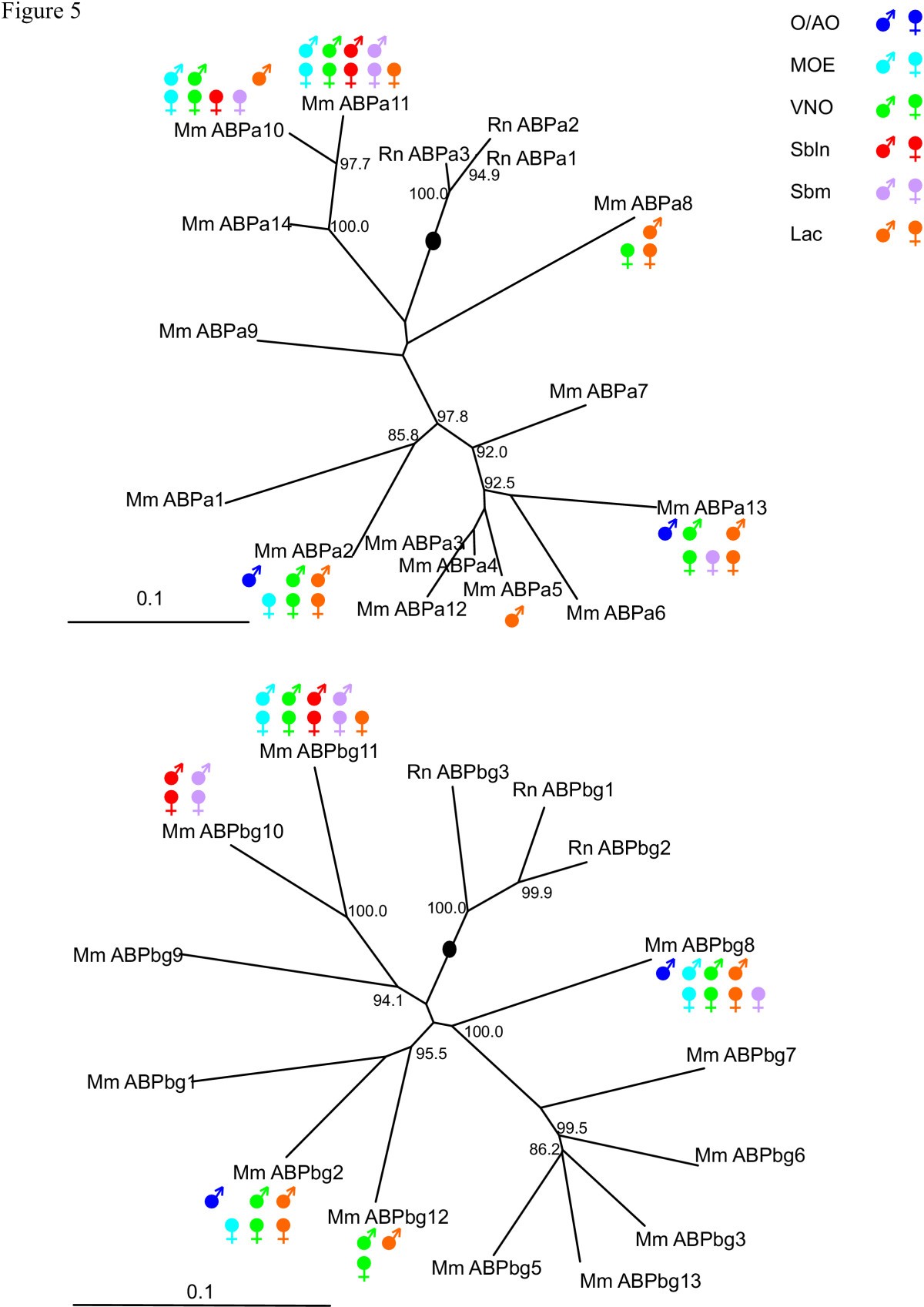 Figure 5