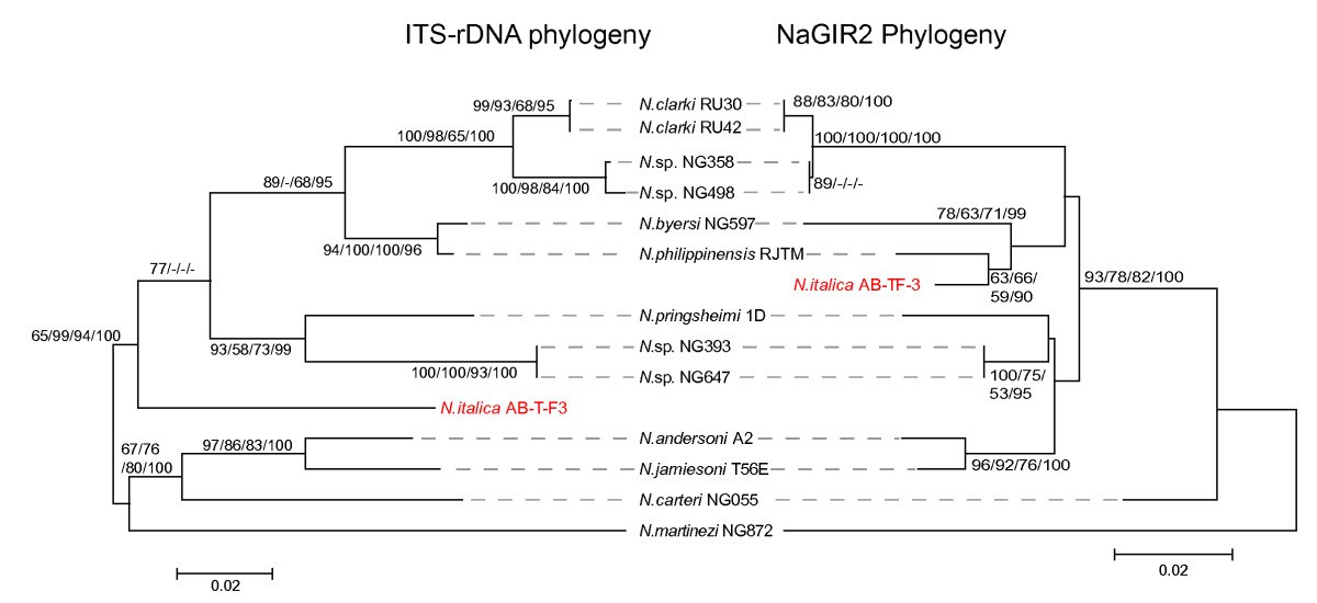 Figure 4