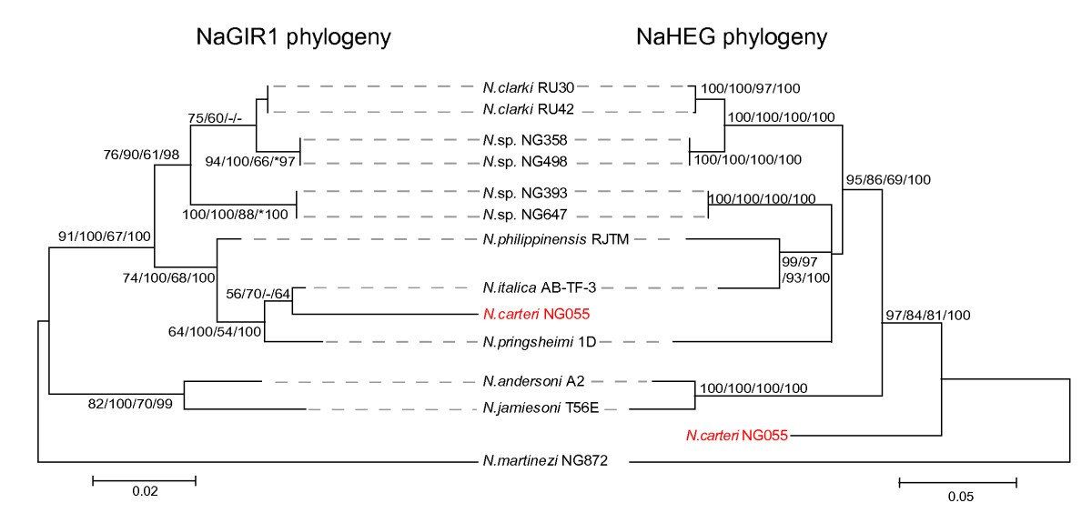 Figure 5