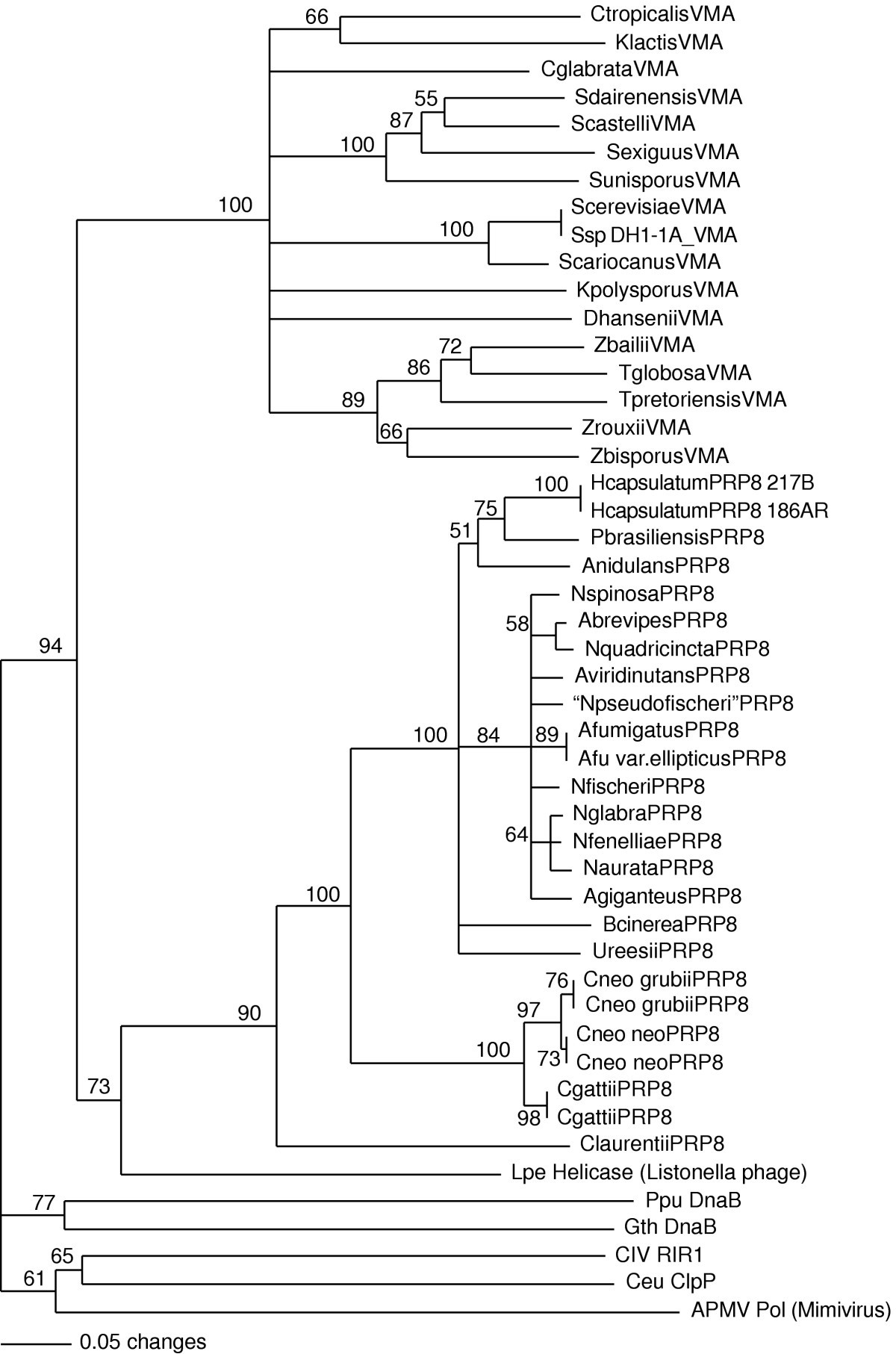 Figure 5