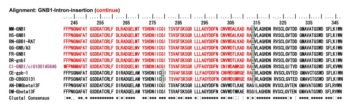 Figure 17