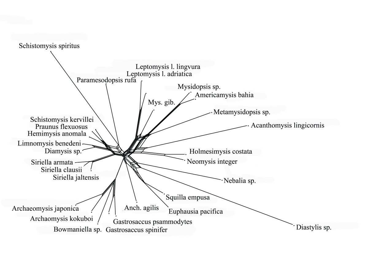 Figure 13