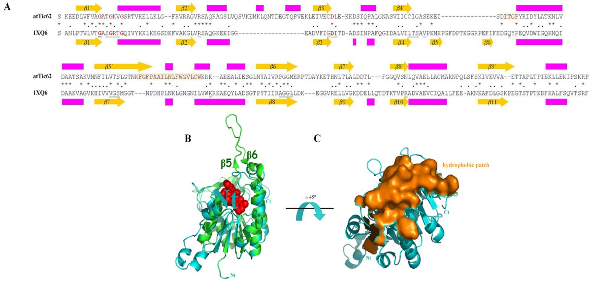 Figure 5