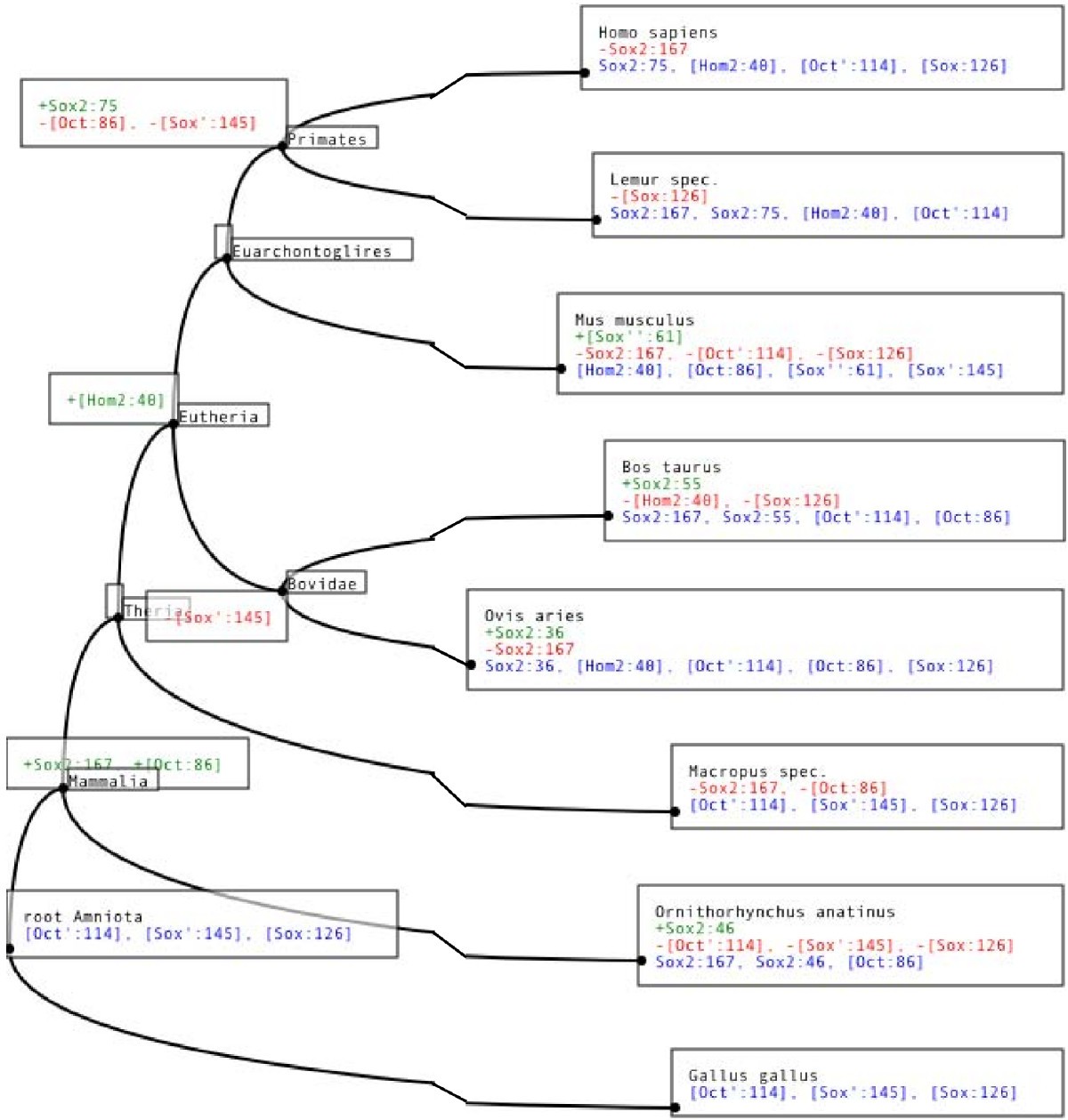 Figure 10