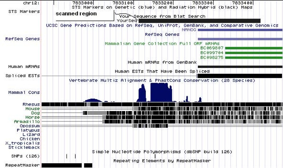 Figure 12