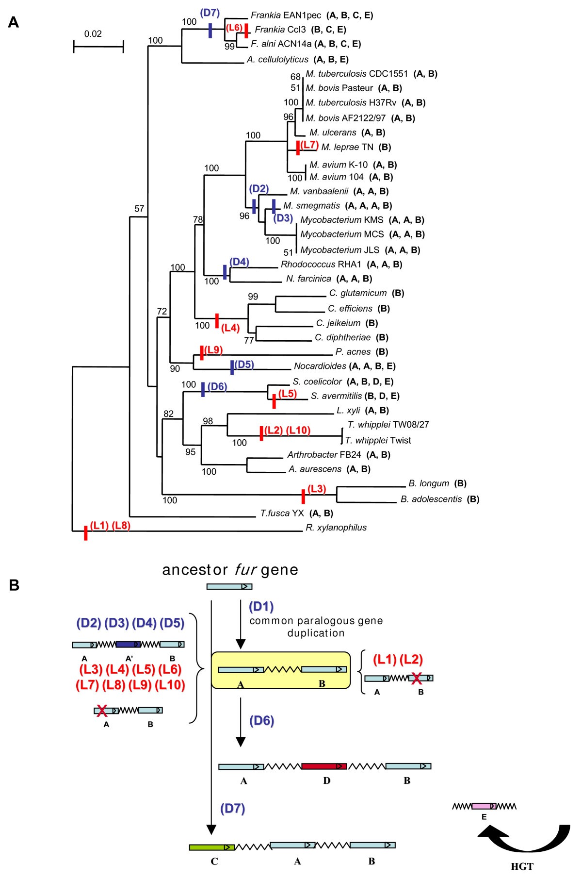 Figure 2