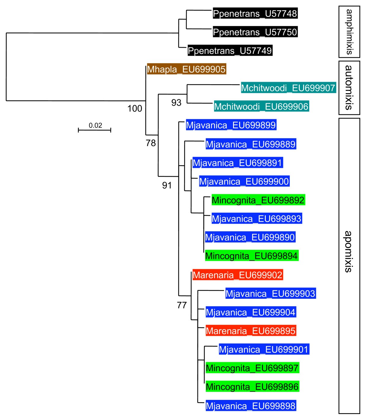 Figure 5