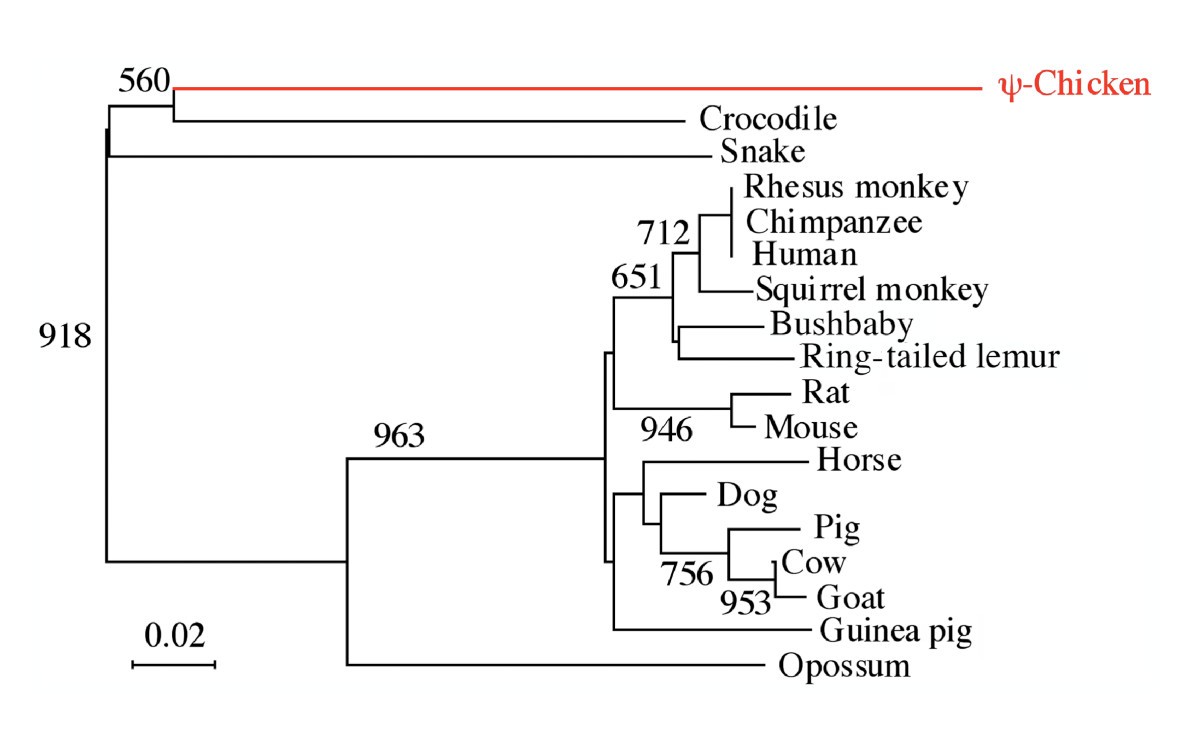 Figure 6