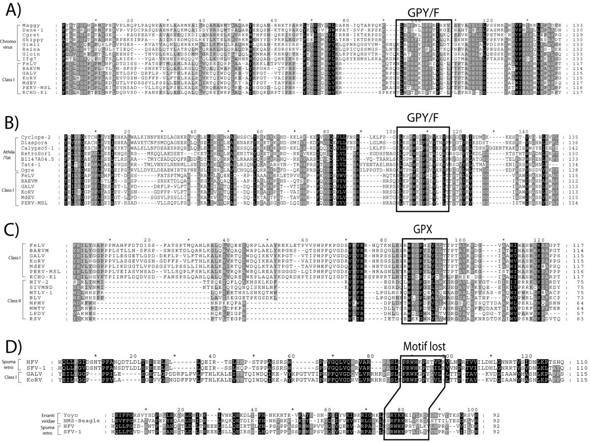 Relationships Of Gag Pol Diversity Between Ty3 Gypsy And Retroviridae Ltr Retroelements And The Three Kings Hypothesis Bmc Ecology And Evolution Full Text