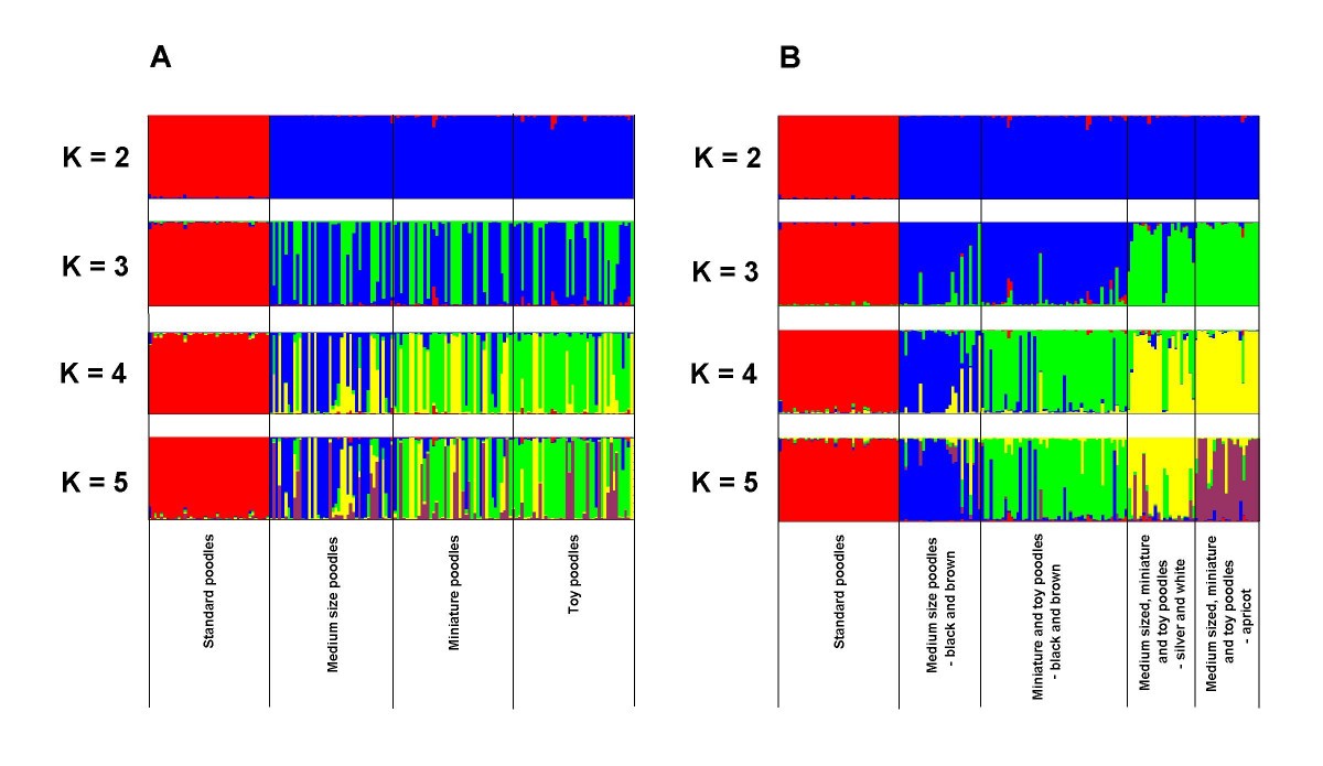 assortative mating and fragmentation