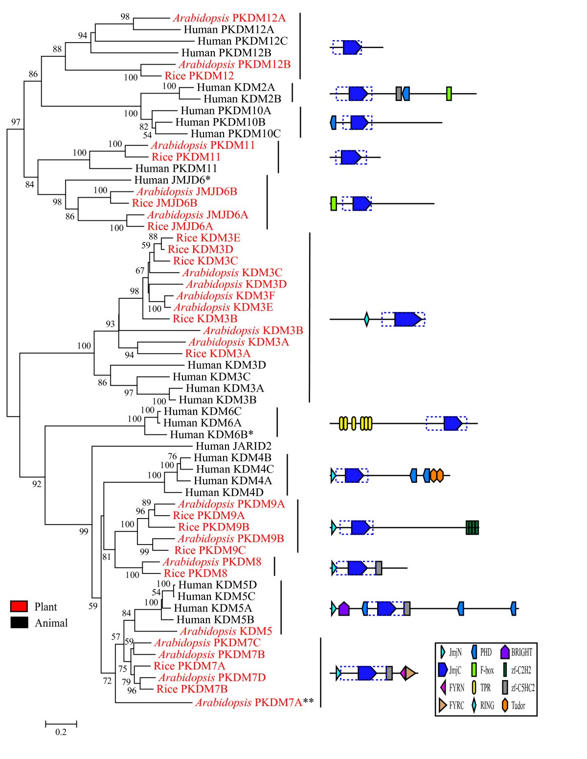 Figure 6