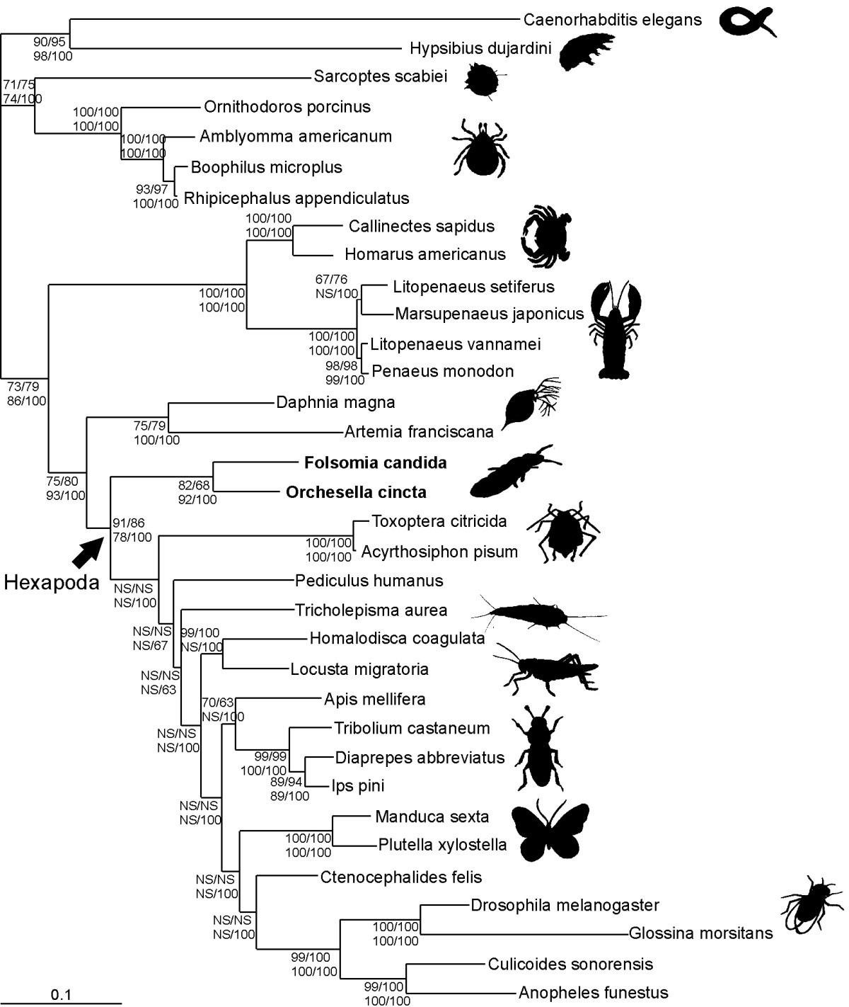 Figure 2