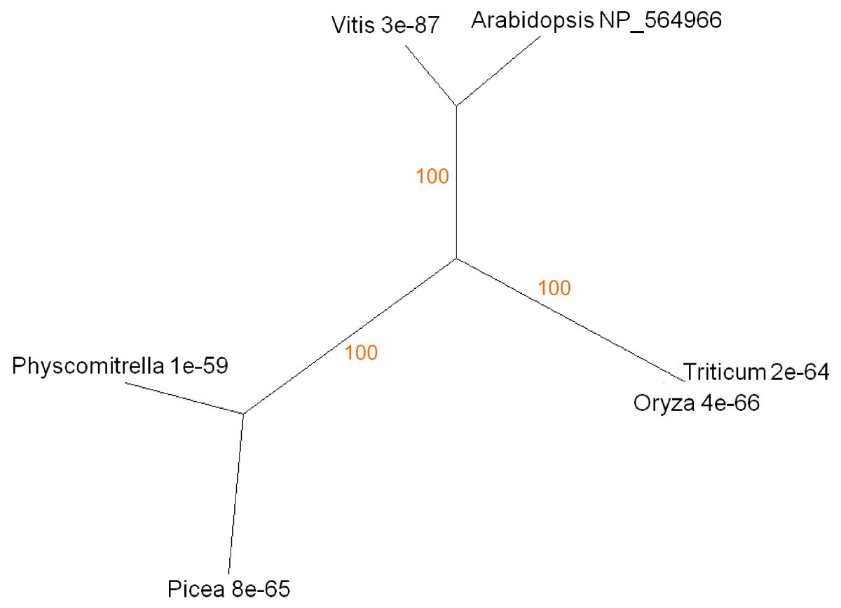 Figure 10