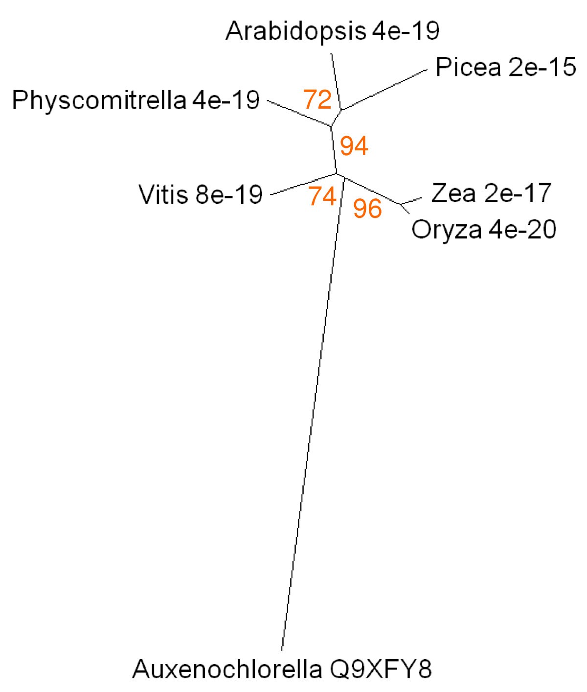 Figure 11