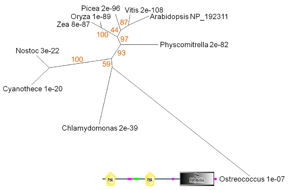 Figure 13