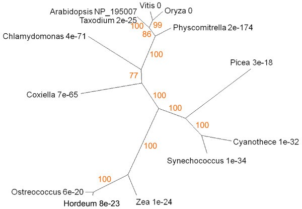 Figure 14