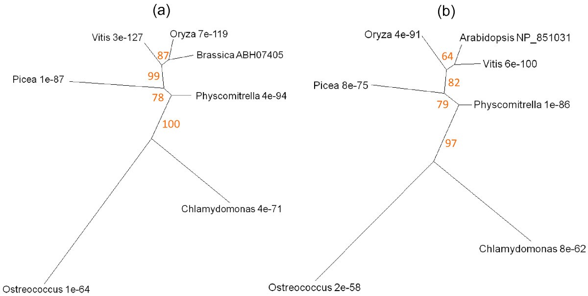 Figure 15