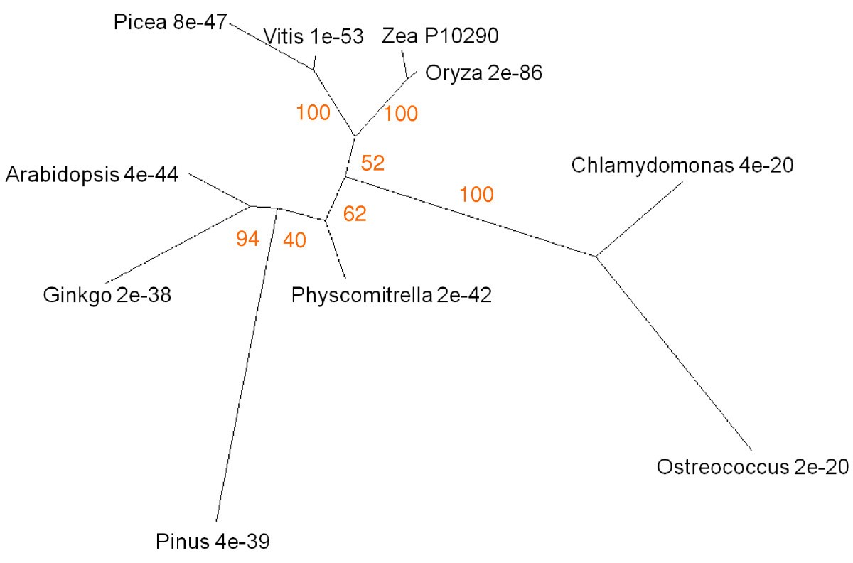 Figure 17