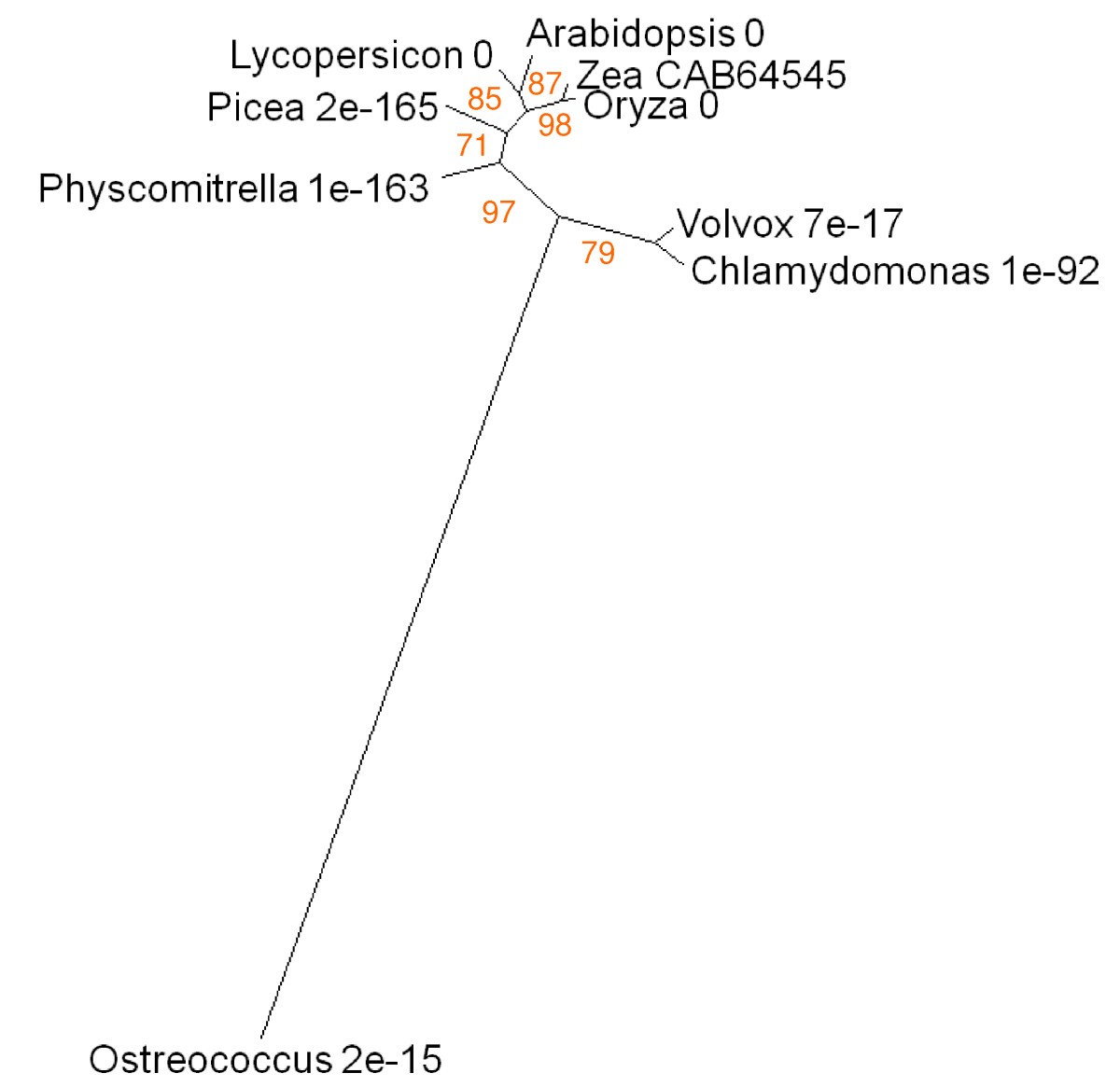 Figure 19