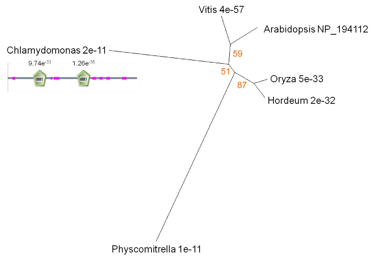 Figure 9