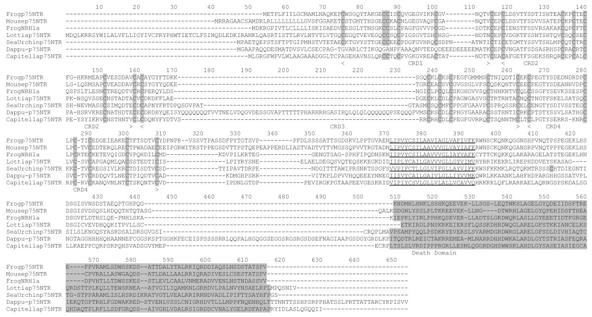 Figure 13