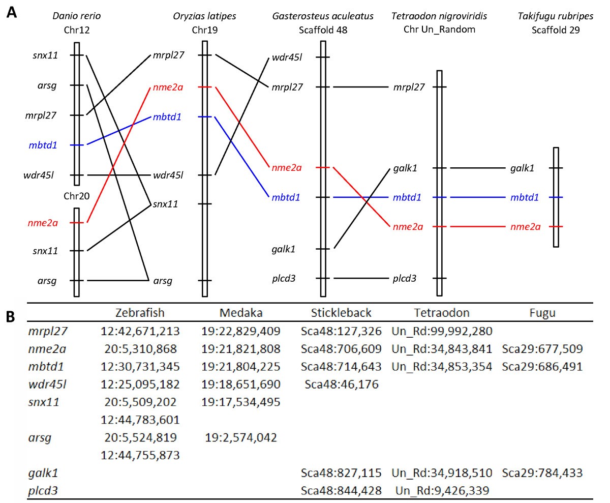 Figure 7