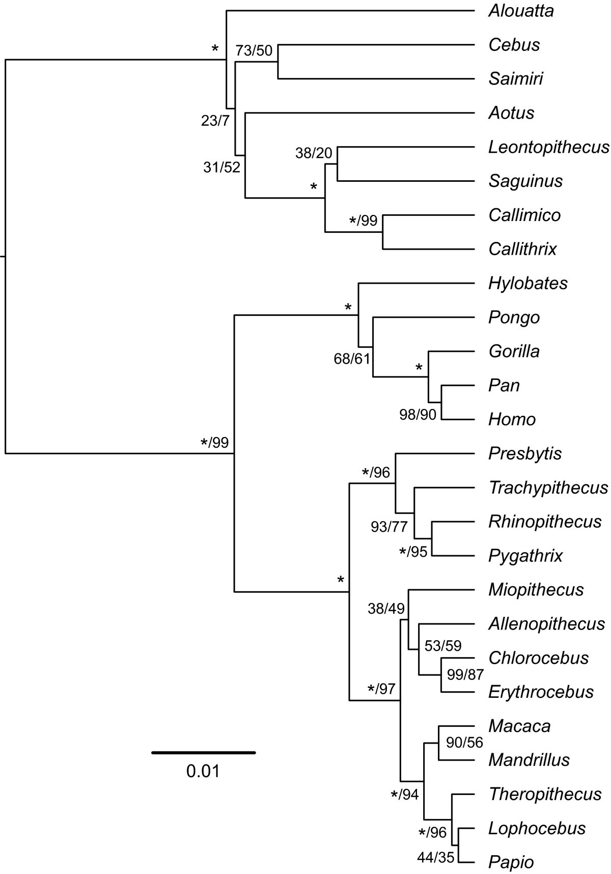 Figure 6