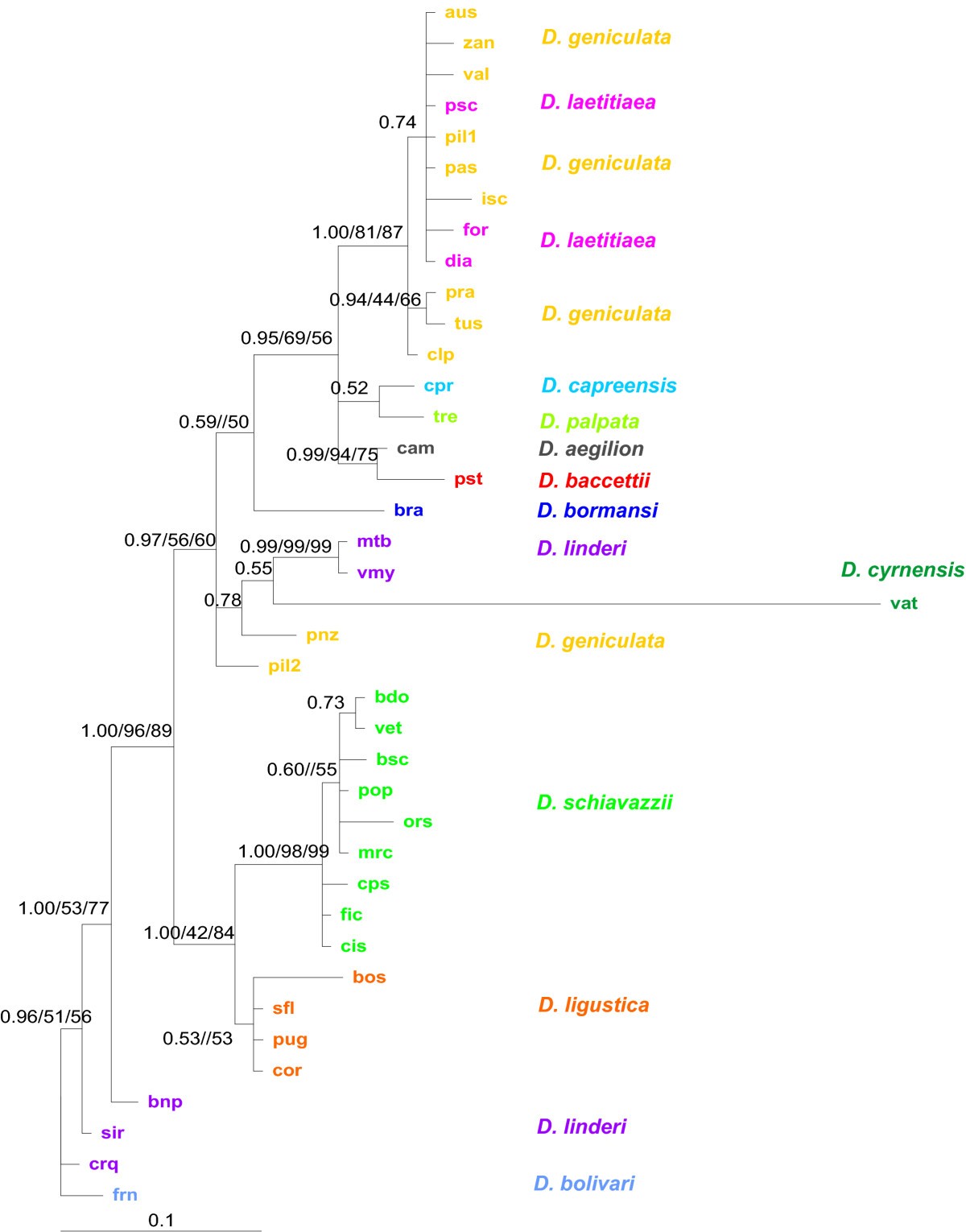 Figure 4