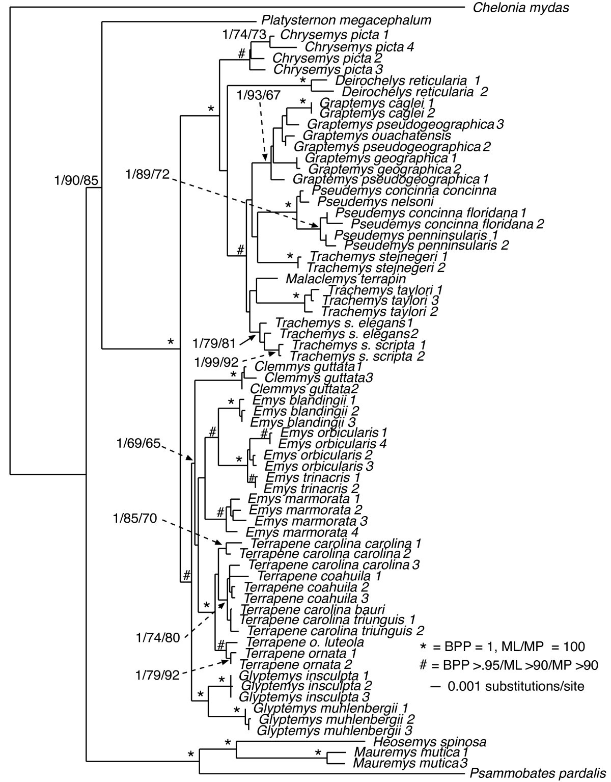 Figure 9