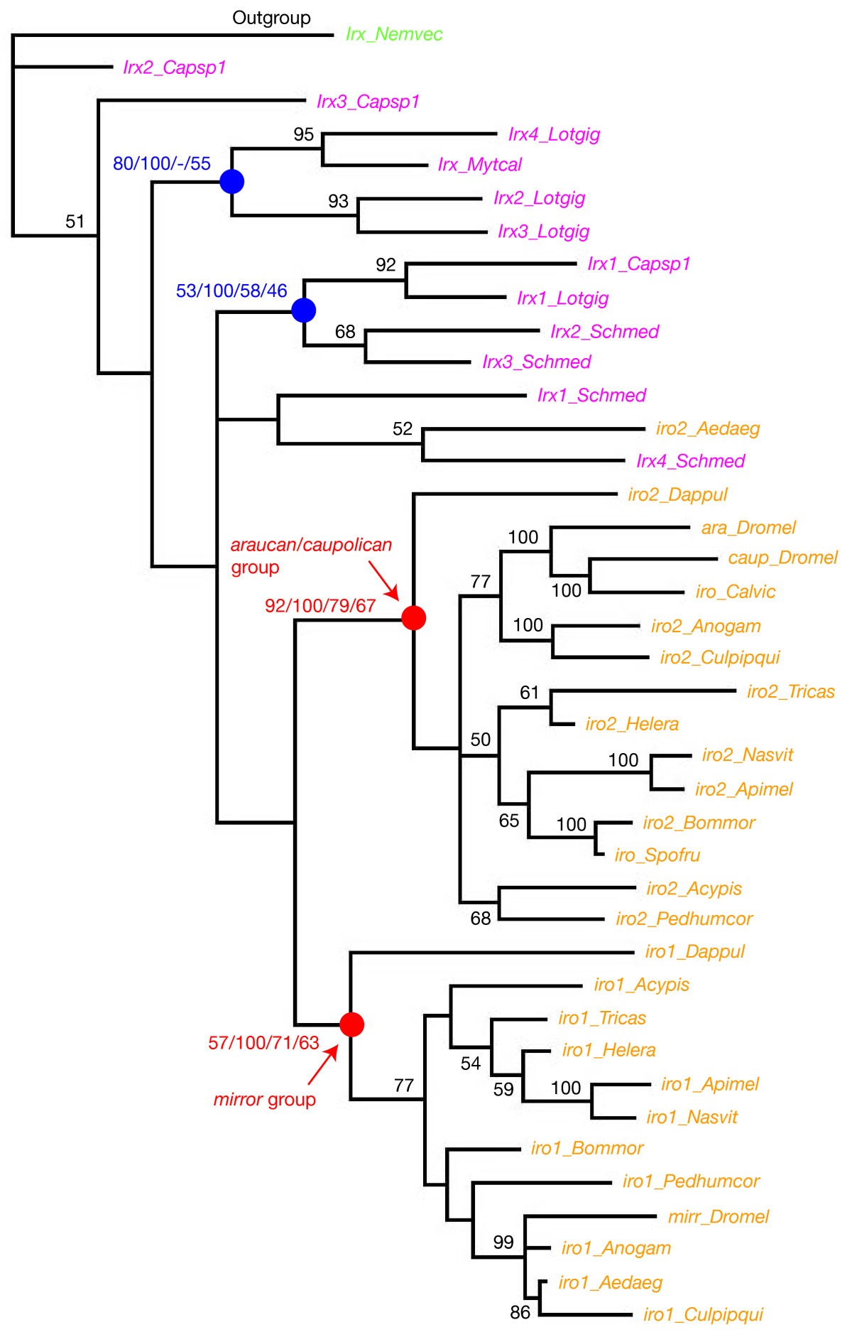 Figure 4