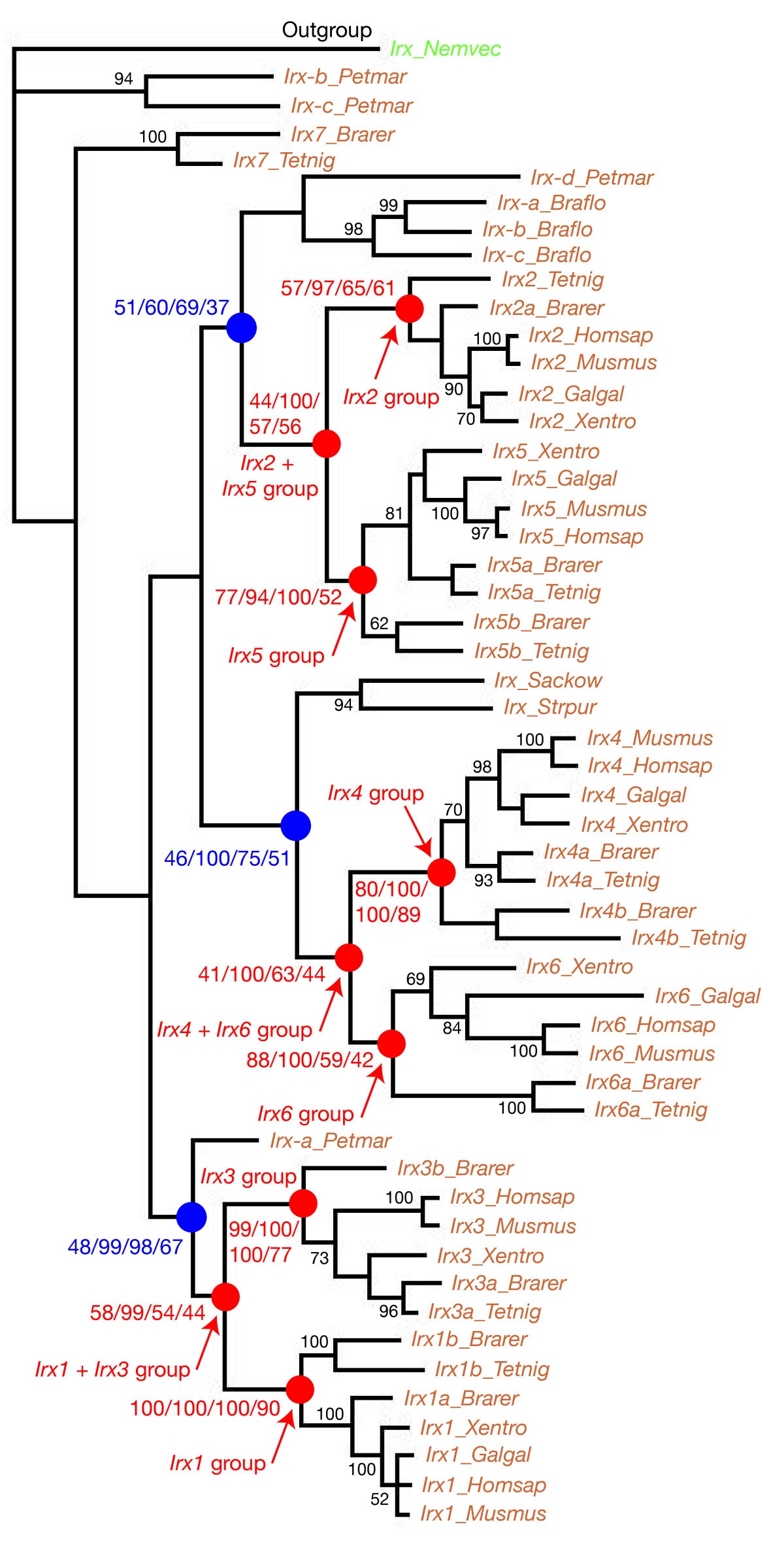 Figure 5